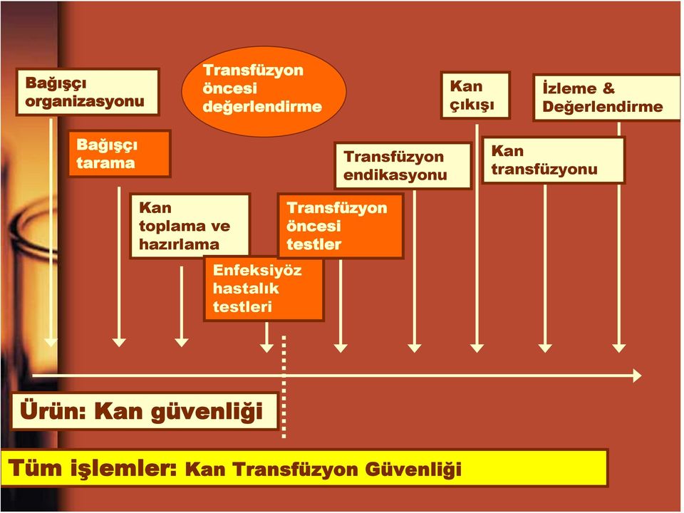 transfüzyonu Kan toplama ve hazırlama Enfeksiyöz hastalık testleri