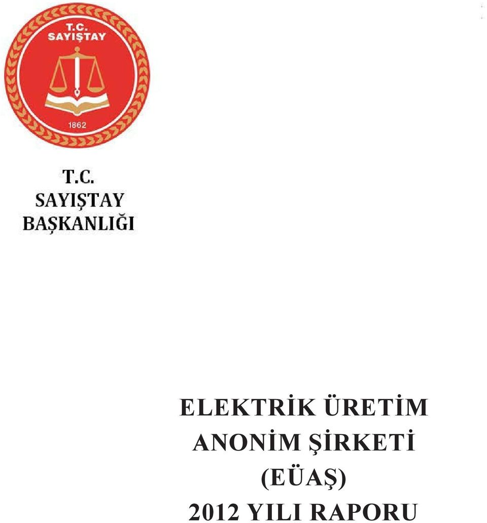 ELEKTRİK 2012 YILI RAPORU