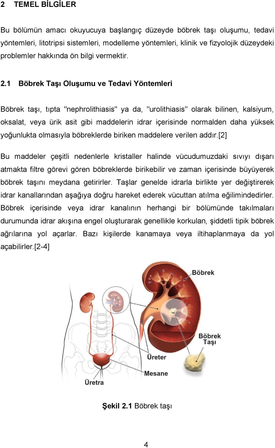 1 Böbrek Taşı Oluşumu ve Tedavi Yöntemleri Böbrek taşı, tıpta "nephrolithiasis" ya da, "urolithiasis" olarak bilinen, kalsiyum, oksalat, veya ürik asit gibi maddelerin idrar içerisinde normalden daha