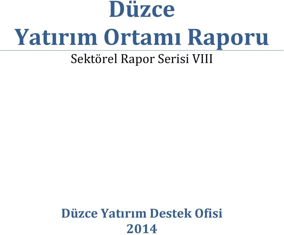 Serisi VIII Düzce