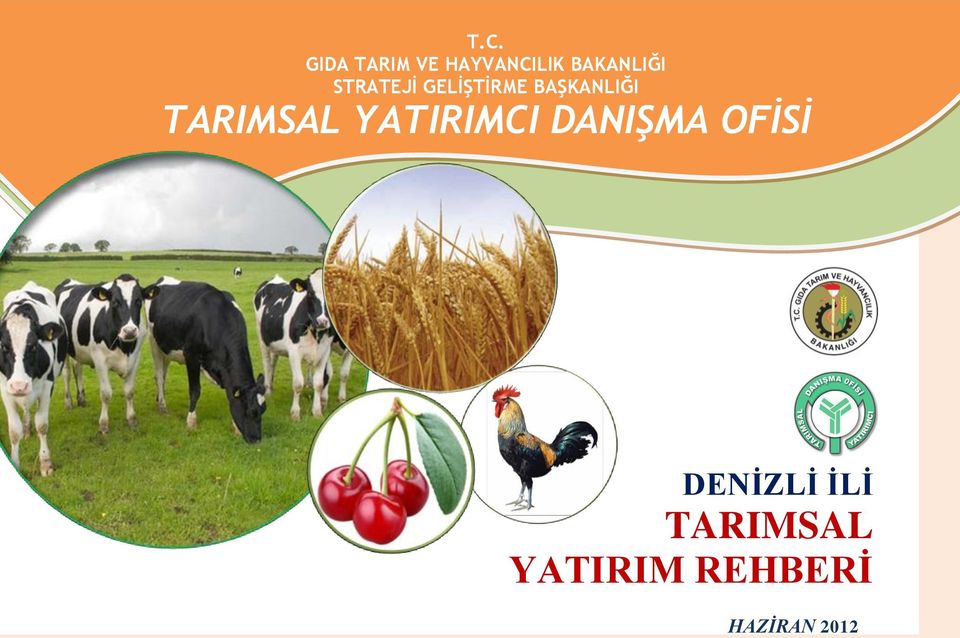 BAŞKANLIĞI TARIMSAL YATIRIMCI DANIŞMA