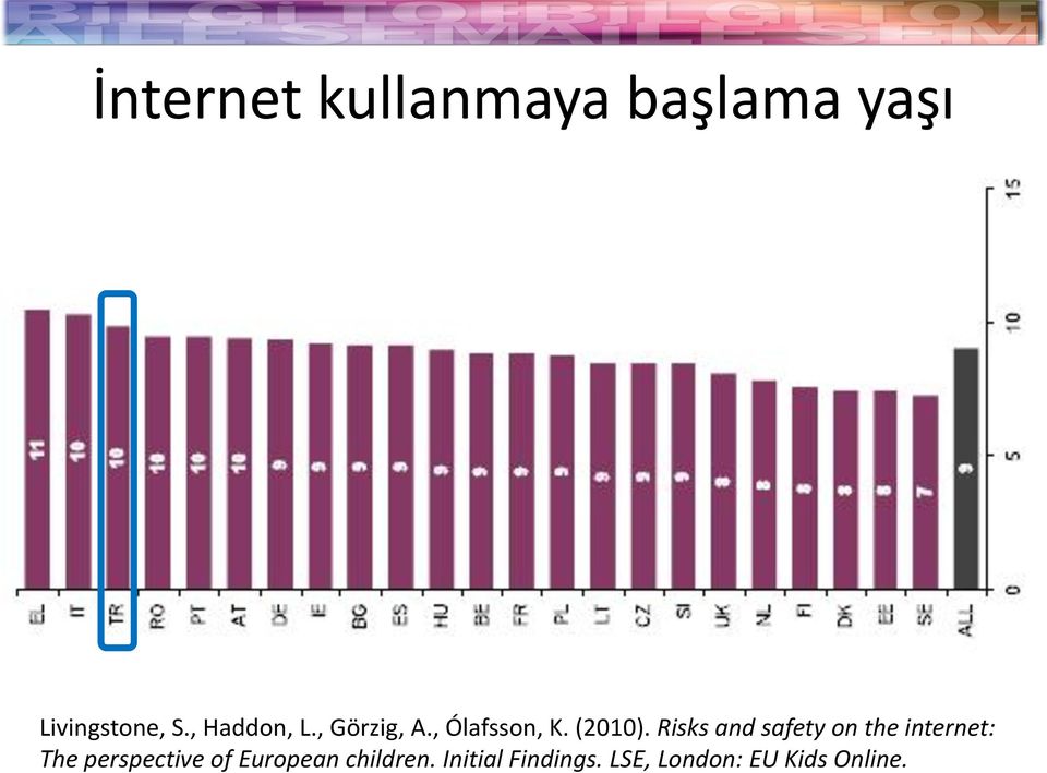 Risks and safety on the internet: The perspective of