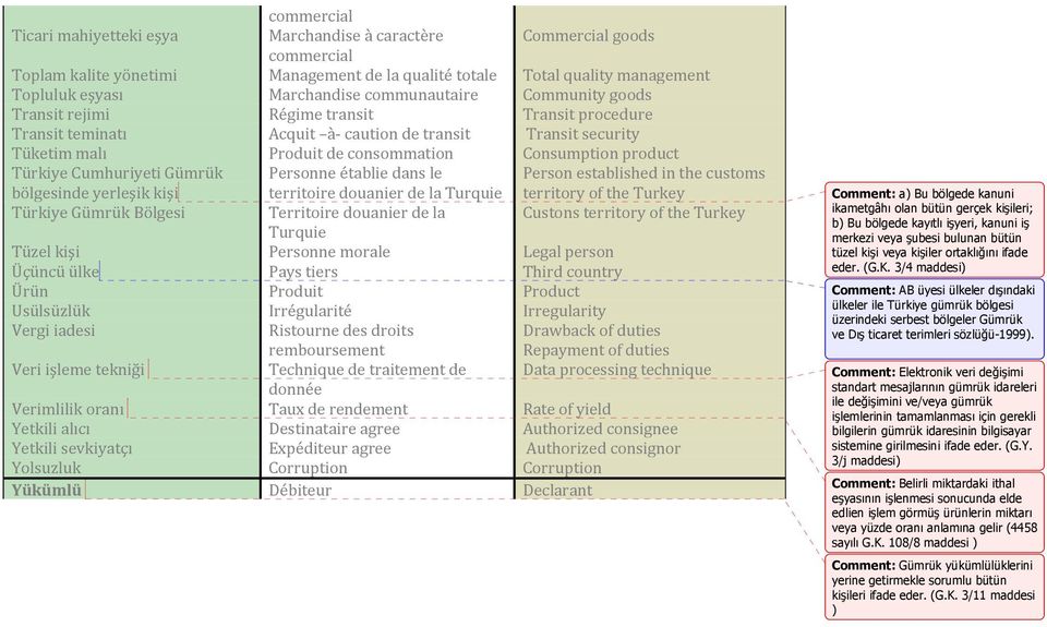 Türkiye Cumhuriyeti Gümrük Personne établie dans le Person established in the customs bölgesinde yerleşik kişi territoire douanier de la Turquie territory of the Turkey Türkiye Gümrük Bölgesi