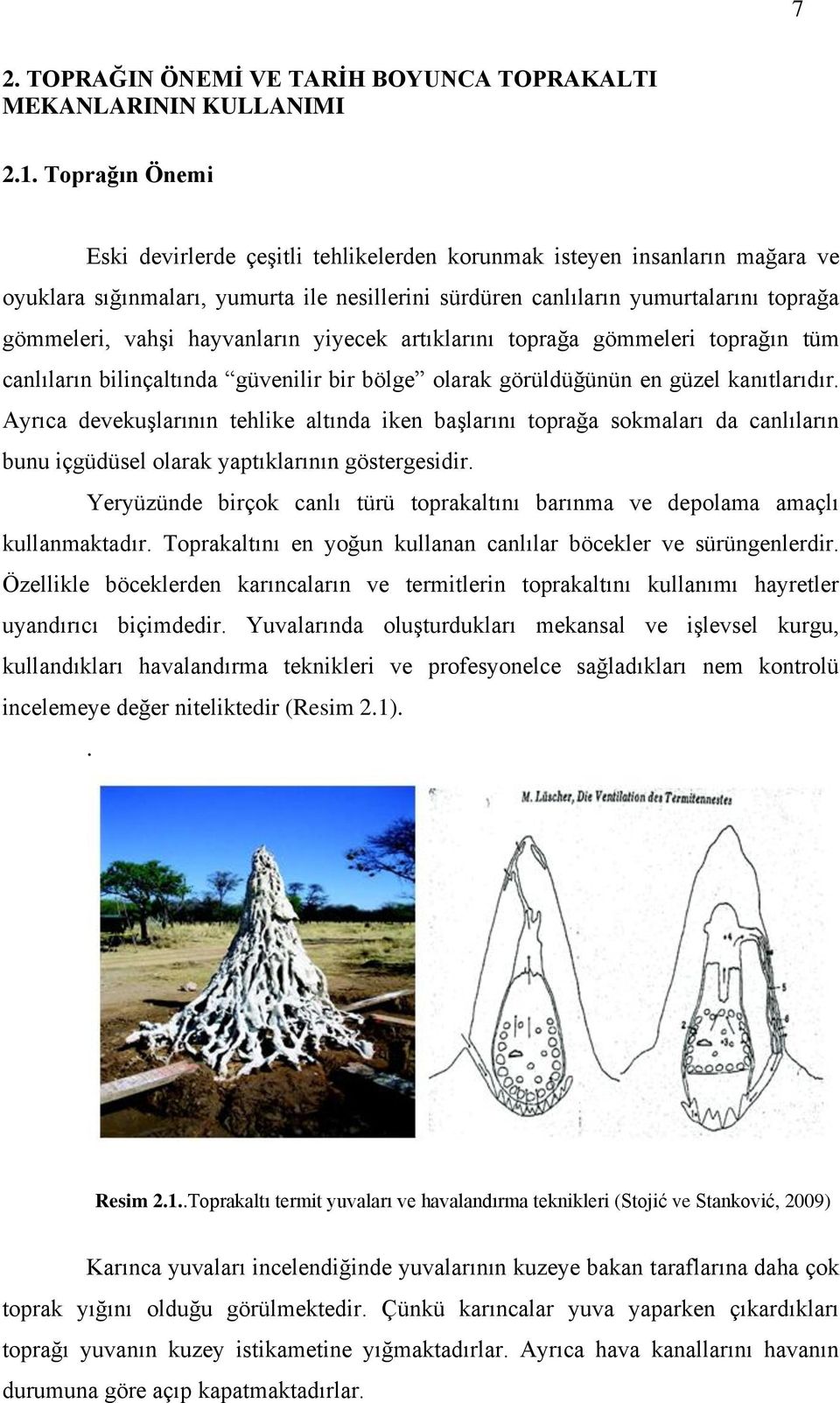 hayvanların yiyecek artıklarını toprağa gömmeleri toprağın tüm canlıların bilinçaltında güvenilir bir bölge olarak görüldüğünün en güzel kanıtlarıdır.