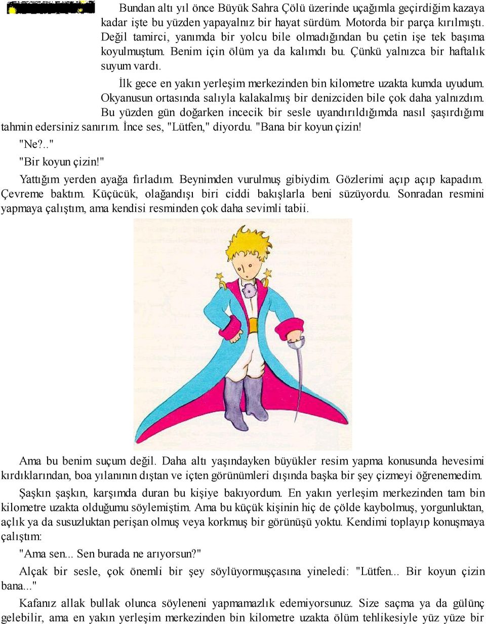 İlk gece en yakın yerleşim merkezinden bin kilometre uzakta kumda uyudum. Okyanusun ortasında salıyla kalakalmış bir denizciden bile çok daha yalnızdım.