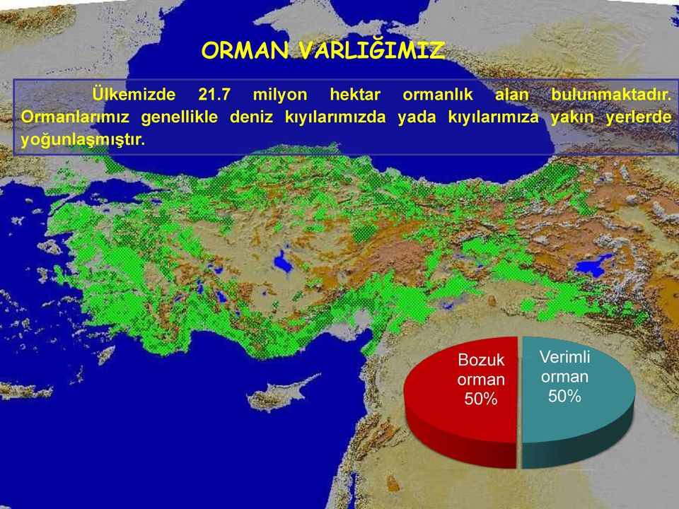 Ormanlarımız genellikle deniz kıyılarımızda yada