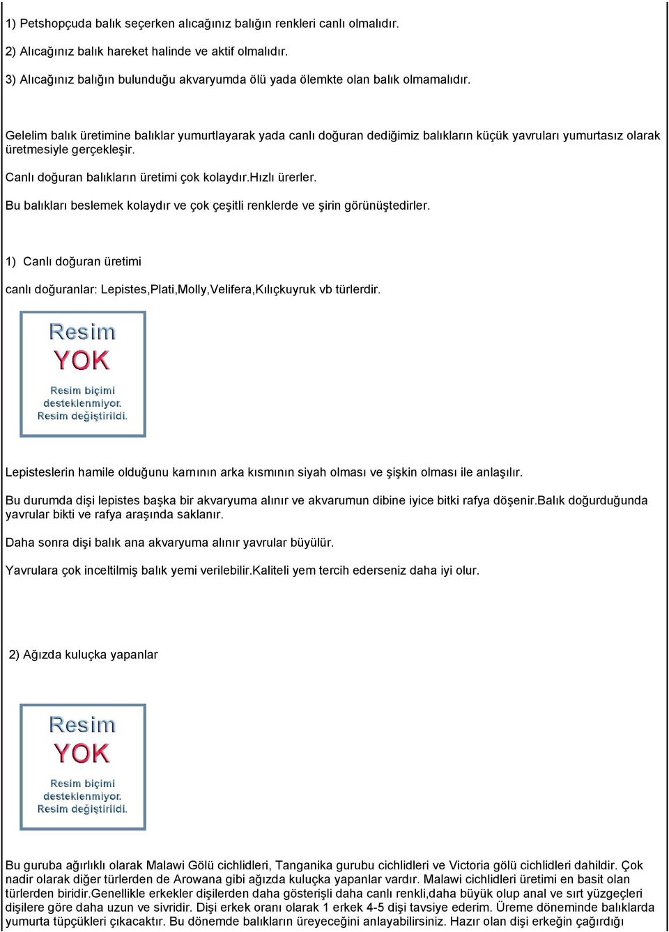 Gelelim balık üretimine balıklar yumurtlayarak yada canlı doğuran dediğimiz balıkların küçük yavruları yumurtasız olarak üretmesiyle gerçekleşir. Canlı doğuran balıkların üretimi çok kolaydır.