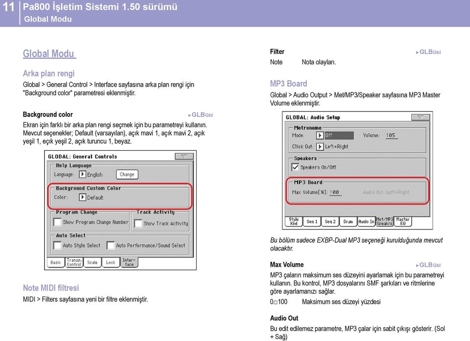 Mevcut seçenekler; Default (varsayılan), açık mavi 1, açık mavi 2, açık yeşil 1, eçık yeşil 2, açık turuncu 1, beyaz. Bu bölüm sadece EXBP-Dual MP3 seçeneği kurulduğunda mevcut olacaktır.