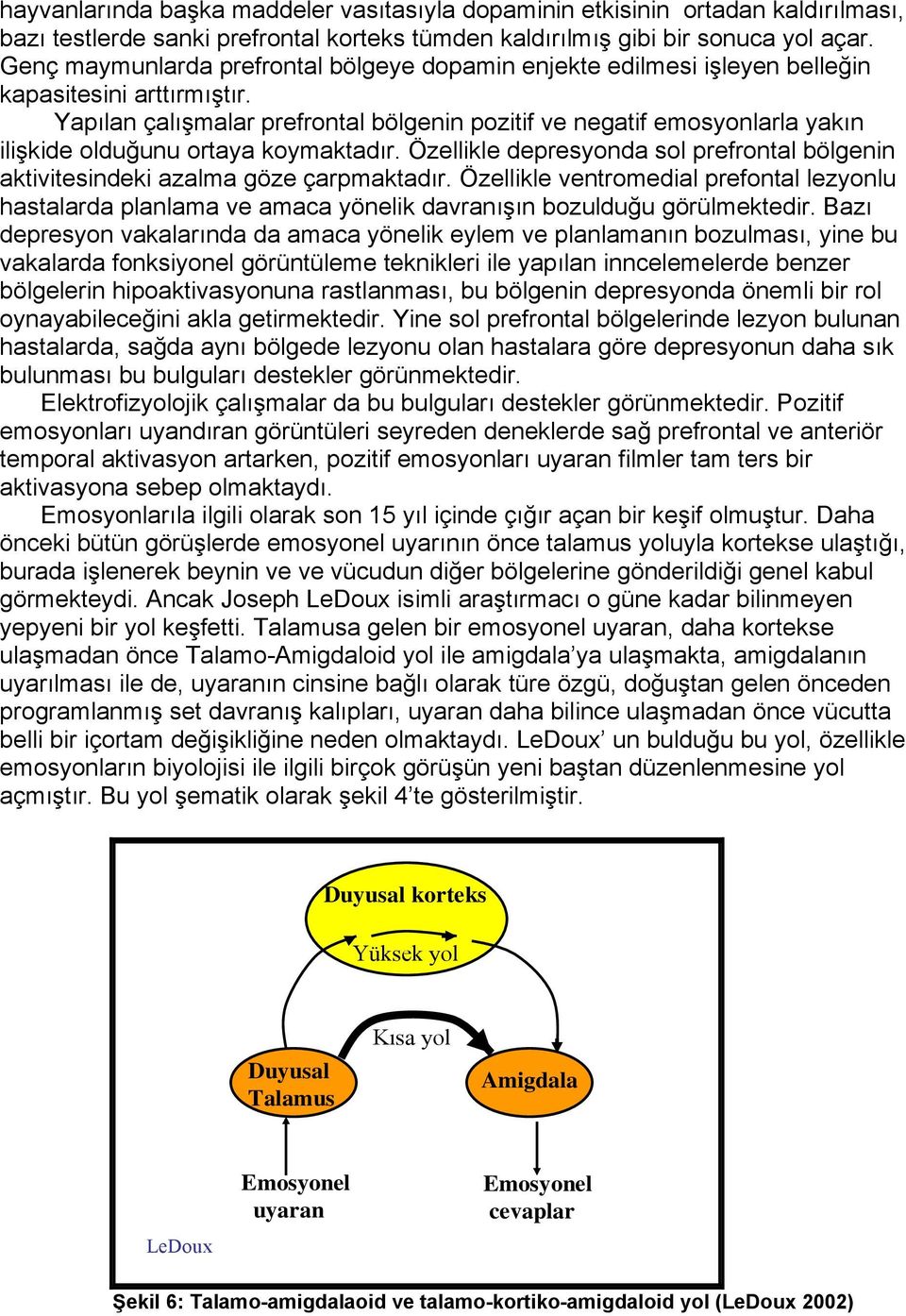 Yapılan çalışmalar prefrontal bölgenin pozitif ve negatif emosyonlarla yakın ilişkide olduğunu ortaya koymaktadır.