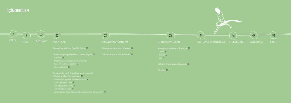 Anadolu da Kültürel Açıdan Yeri ve Önemi 6 - Tarih Öncesi Çağlarda Turna Kültür İlişkisi 6 - Klasik Edebiyatta Turna 7 - Halk Edebiyatında Turna 7 - Halk Müziğinde Turna 9 - Günümüzdeki