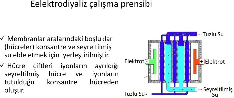 için yerleştirilmiştir.