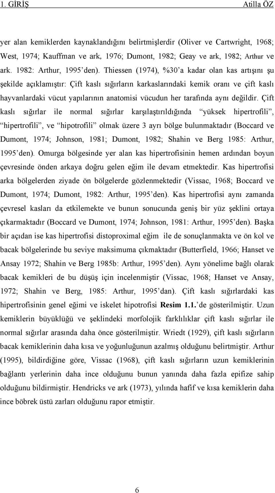 Thiessen (1974), %30 a kadar olan kas artışını şu şekilde açıklamıştır: Çift kaslı sığırların karkaslarındaki kemik oranı ve çift kaslı hayvanlardaki vücut yapılarının anatomisi vücudun her tarafında