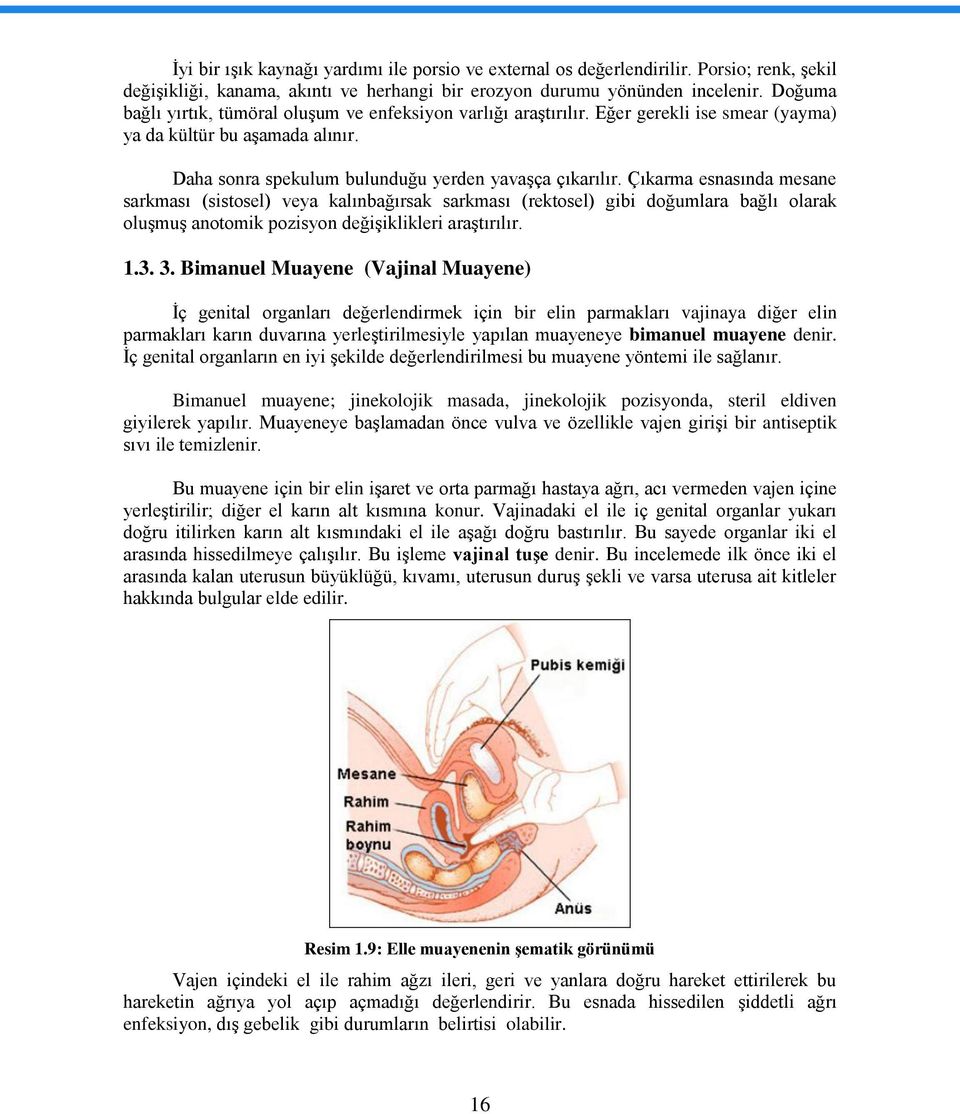 Çıkarma esnasında mesane sarkması (sistosel) veya kalınbağırsak sarkması (rektosel) gibi doğumlara bağlı olarak oluşmuş anotomik pozisyon değişiklikleri araştırılır. 1.3. 3.