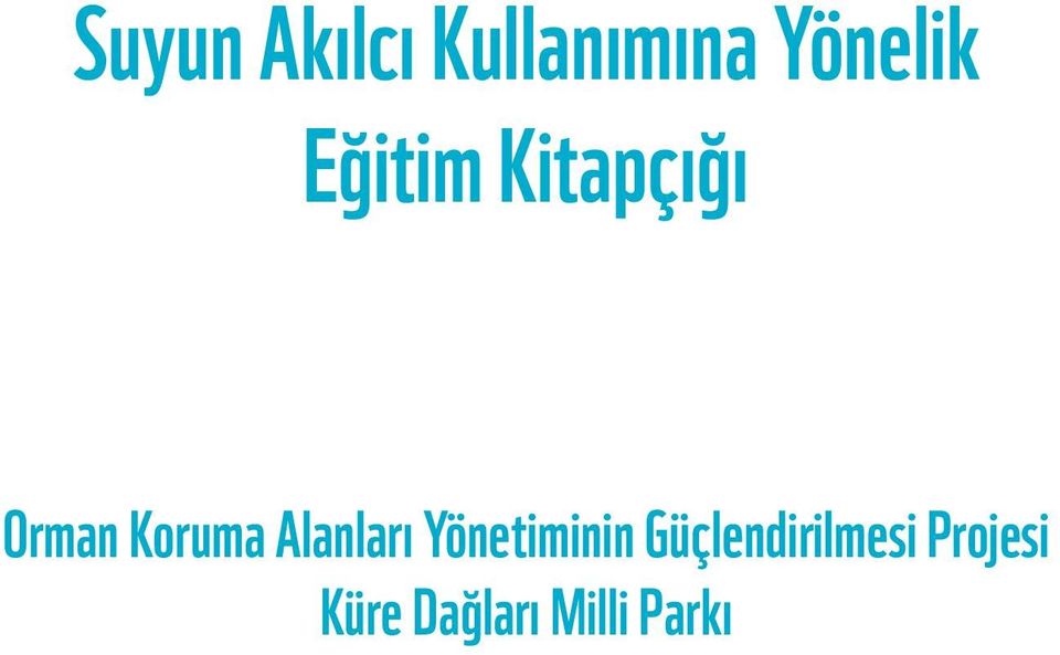 Alanları Yönetiminin