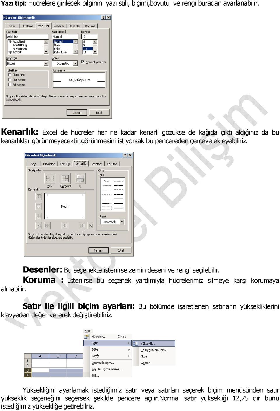 Desenler: Bu seçenekte istenirse zemin deseni ve rengi seçilebilir. Koruma : İstenirse bu seçenek yardımıyla hücrelerimiz silmeye karşı korumaya alınabilir.