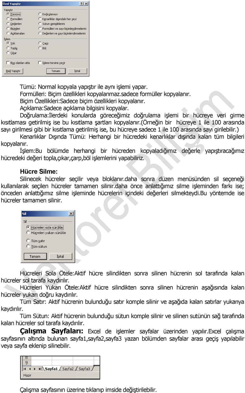 (örneğin bir hücreye 1 ile 100 arasında sayı girilmesi gibi bir kısıtlama getirilmiş ise, bu hücreye sadece 1 ile 100 arasında sayı girilebilir.