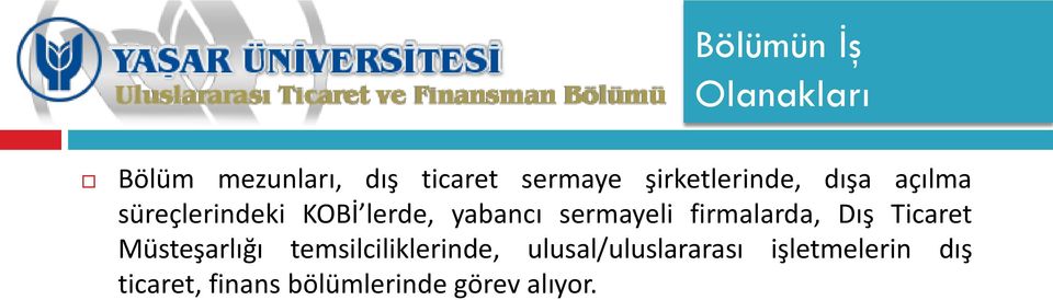 sermayeli firmalarda, Dış Ticaret Müsteşarlığı temsilciliklerinde,