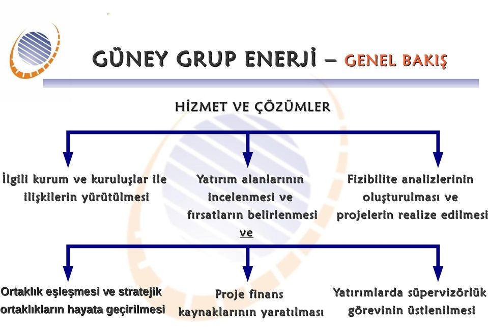 analizlerinin oluşturulması ve projelerin realize edilmesi Ortaklık eşleşmesi ve stratejik