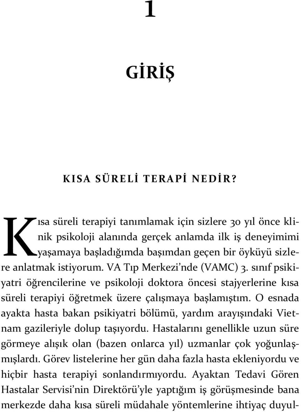 VA Tıp Merkezi nde (VAMC) 3. sınıf psikiyatri öğrencilerine ve psikoloji doktora öncesi stajyerlerine kısa süreli terapiyi öğretmek üzere çalışmaya başlamıştım.