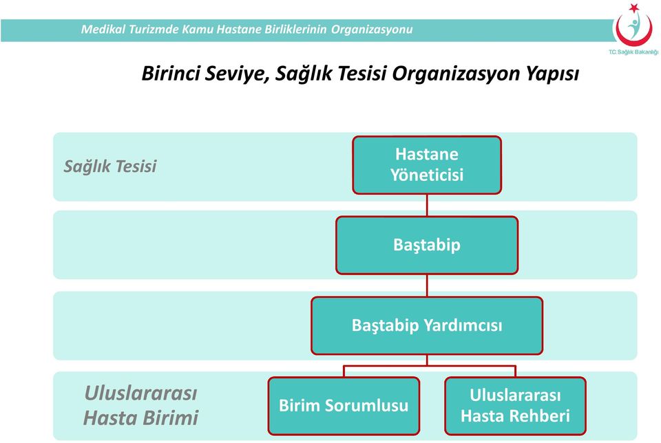 Baştabip Baştabip Yardımcısı Uluslararası