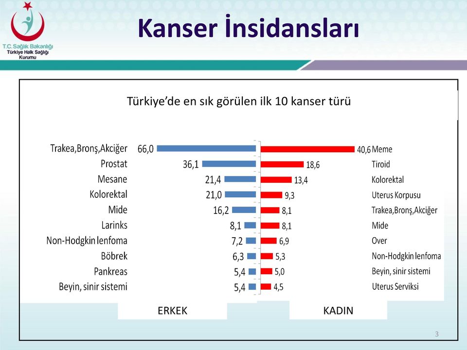 görülen ilk 10