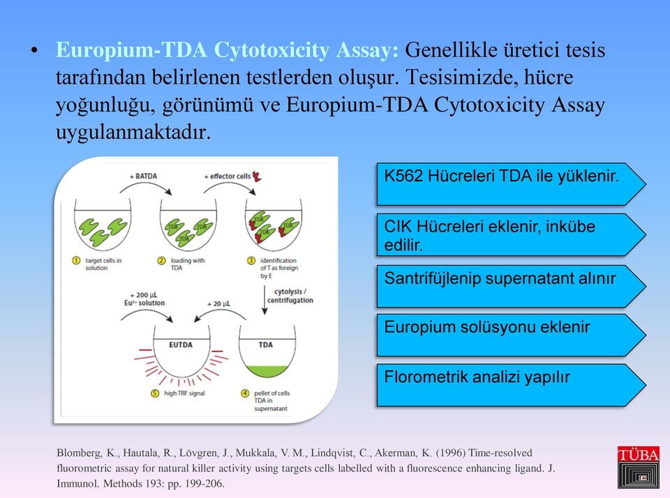 CIK Hücreleri eklenir, inkübe edilir. Santrifüjlenip supernatant alınır Europium solüsyonu eklenir Florometrik analizi yapılır Blomberg, K., Hautala, R.