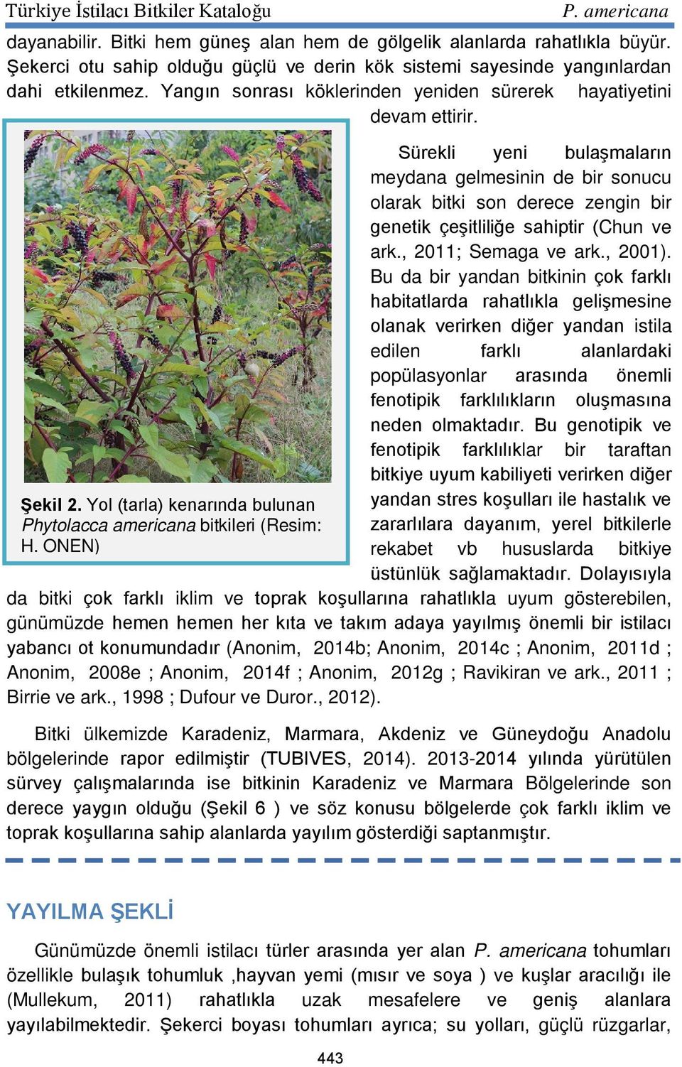 ONEN) Sürekli yeni bulaşmaların meydana gelmesinin de bir sonucu olarak bitki son derece zengin bir genetik çeşitliliğe sahiptir (Chun ve ark., 2011; Semaga ve ark., 2001).