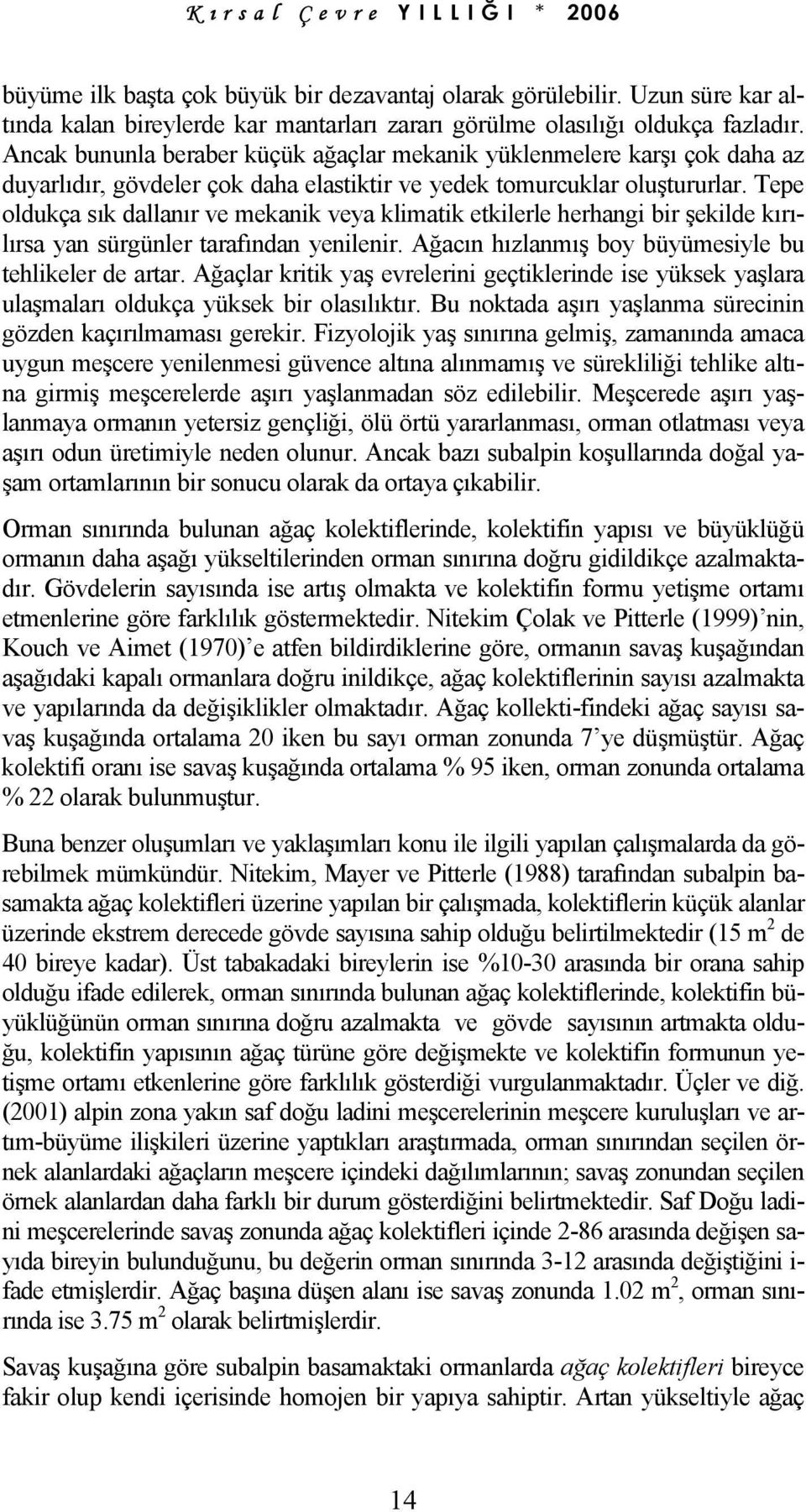 Tepe oldukça sık dallanır ve mekanik veya klimatik etkilerle herhangi bir şekilde kırılırsa yan sürgünler tarafından yenilenir. Ağacın hızlanmış boy büyümesiyle bu tehlikeler de artar.