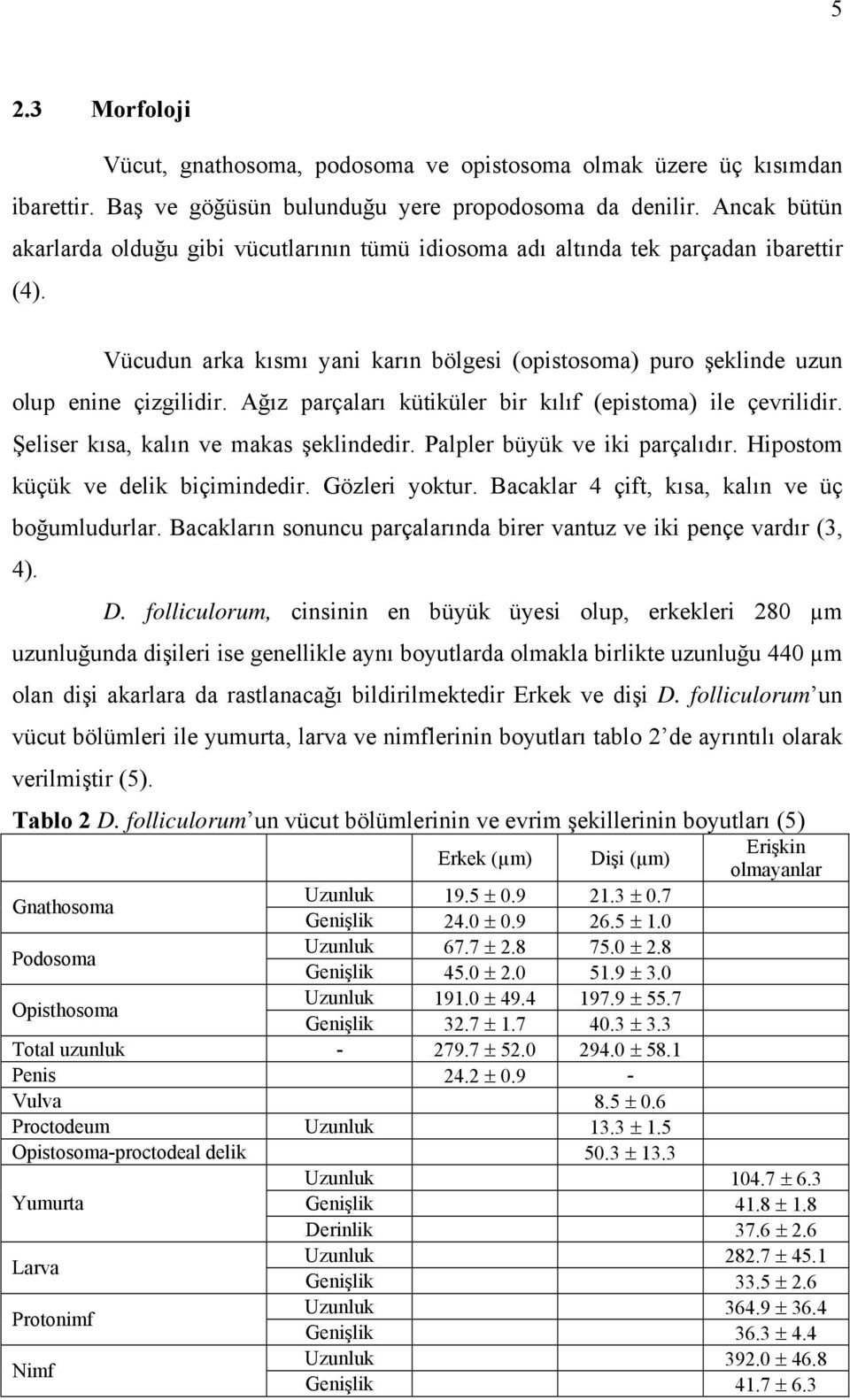 Ağız parçaları kütiküler bir kılıf (epistoma) ile çevrilidir. Şeliser kısa, kalın ve makas şeklindedir. Palpler büyük ve iki parçalıdır. Hipostom küçük ve delik biçimindedir. Gözleri yoktur.