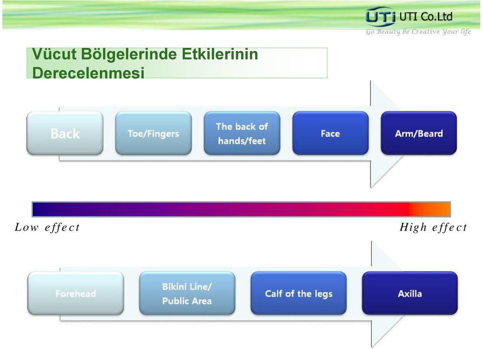 Etkilerinin