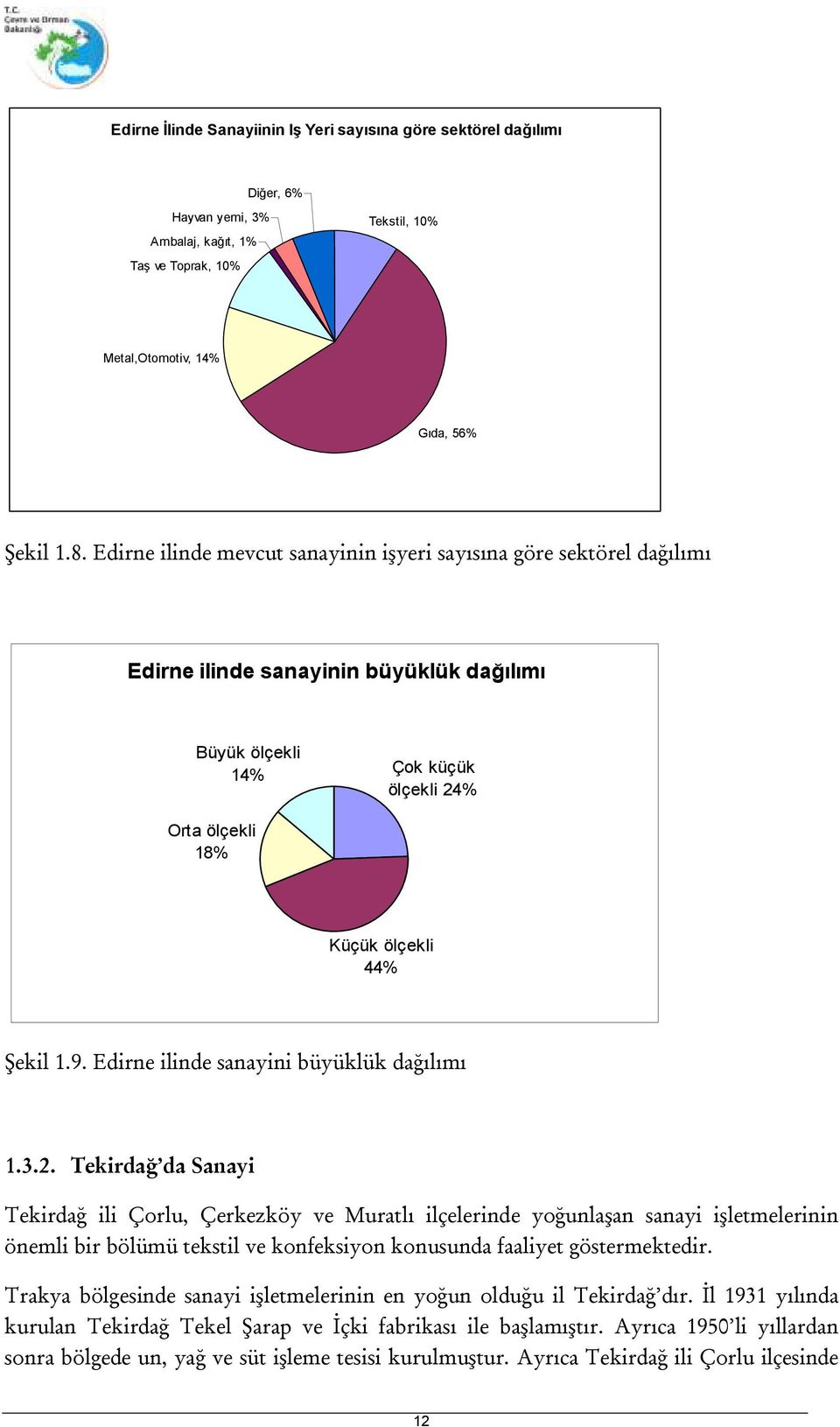 Edirne ilinde sanayini büyüklük dağılımı 1.3.2.