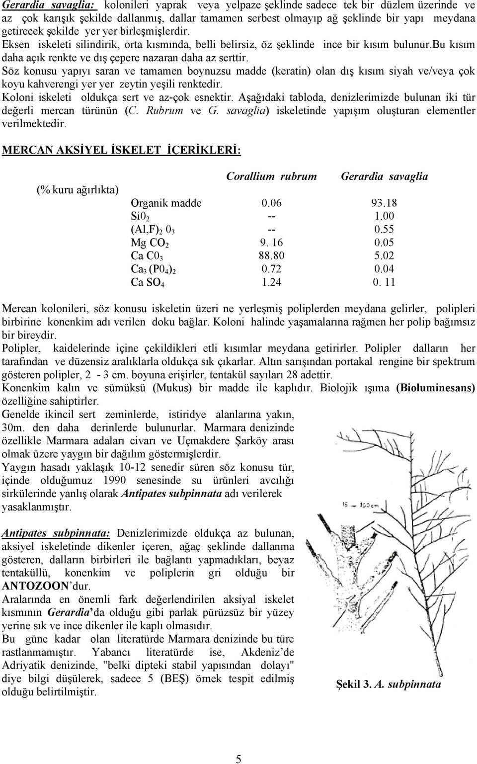 Söz konusu yapıyı saran ve tamamen boynuzsu madde (keratin) olan dış kısım siyah ve/veya çok koyu kahverengi yer yer zeytin yeşili renktedir. Koloni iskeleti oldukça sert ve az-çok esnektir.