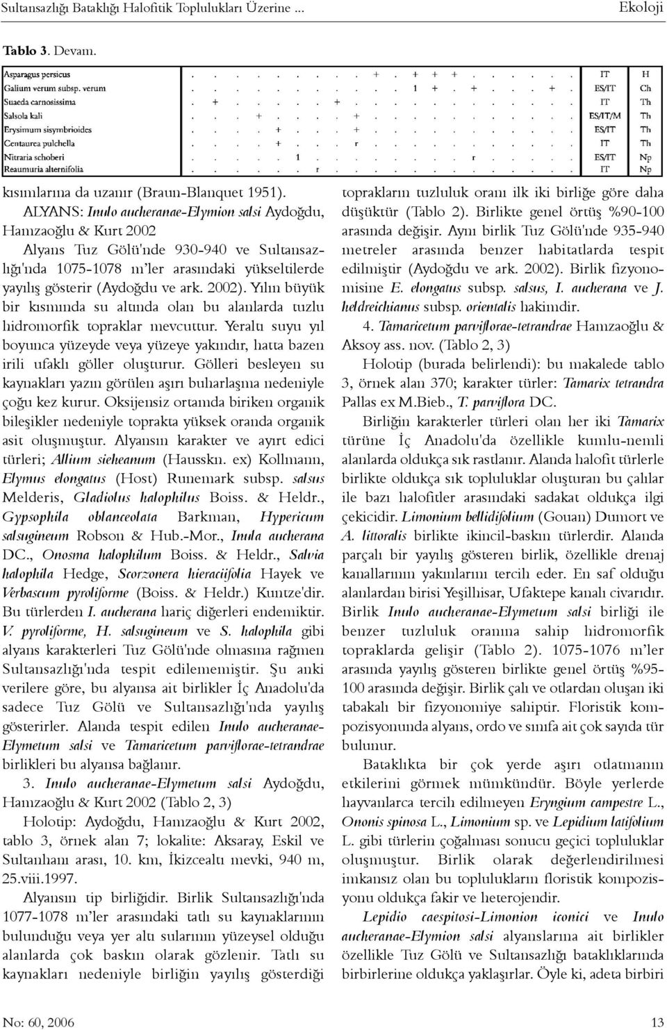 Yýlýn büyük bir kýsmýnda su altýnda olan bu alanlarda tuzlu hidromorfik topraklar mevcuttur. Yeraltý suyu yýl boyunca yüzeyde veya yüzeye yakýndýr, hatta bazen irili ufaklý göller oluþturur.