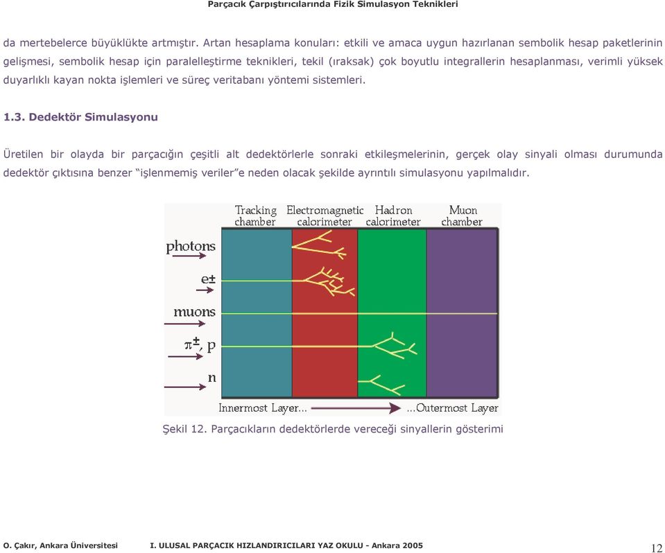 çok boyutlu integrallerin hesaplanması, verimli yüksek duyarlıklı kayan nokta işlemleri ve süreç veritabanı yöntemi sistemleri. 1.3.