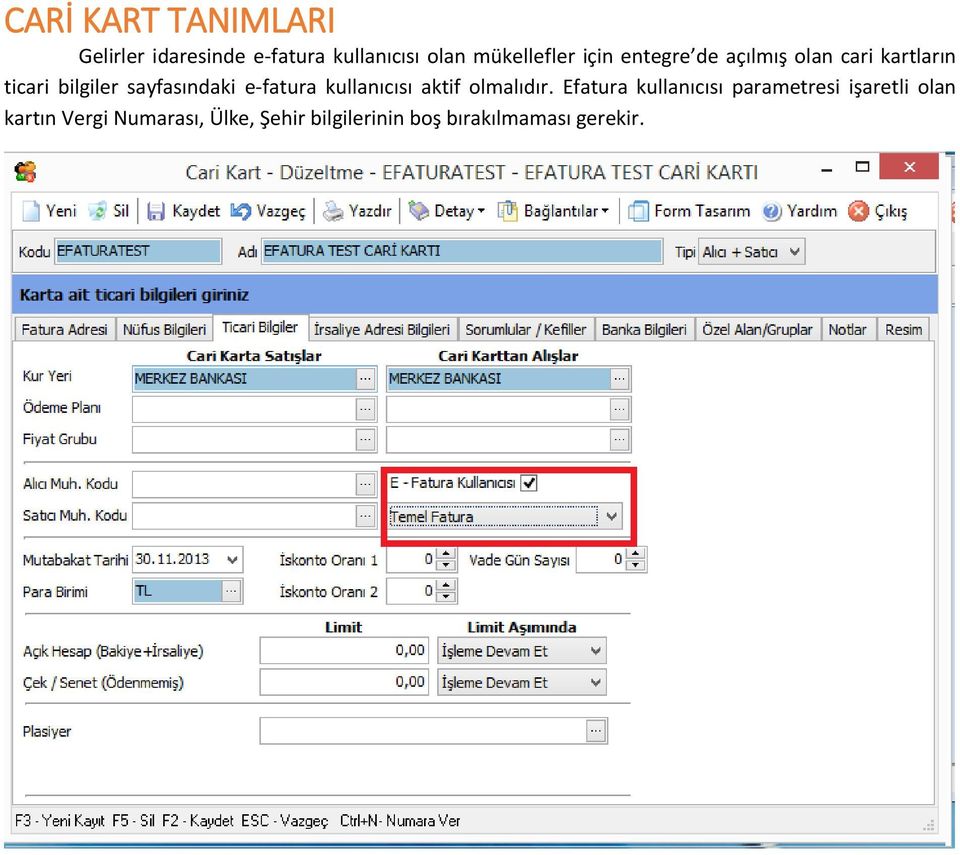 e-fatura kullanıcısı aktif olmalıdır.