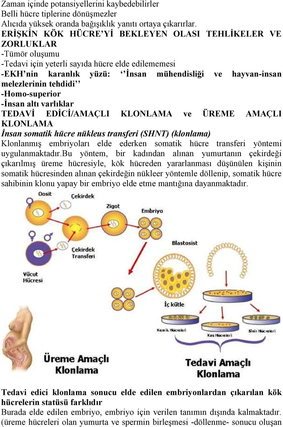tehdidi -Homo-superior -İnsan altı varlıklar TEDAVİ EDİCİ/AMAÇLI KLONLAMA ve ÜREME AMAÇLI KLONLAMA İnsan somatik hücre nükleus transferi (SHNT) (klonlama) Klonlanmış embriyoları elde ederken somatik
