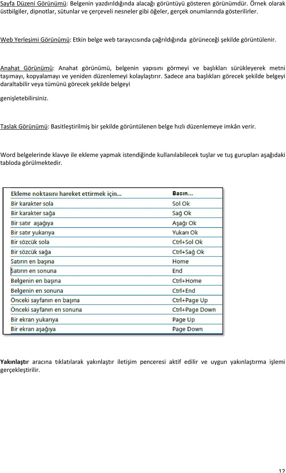 Web Yerleşimi Görünümü: Etkin belge web tarayıcısında çağrıldığında görüneceği şekilde görüntülenir.