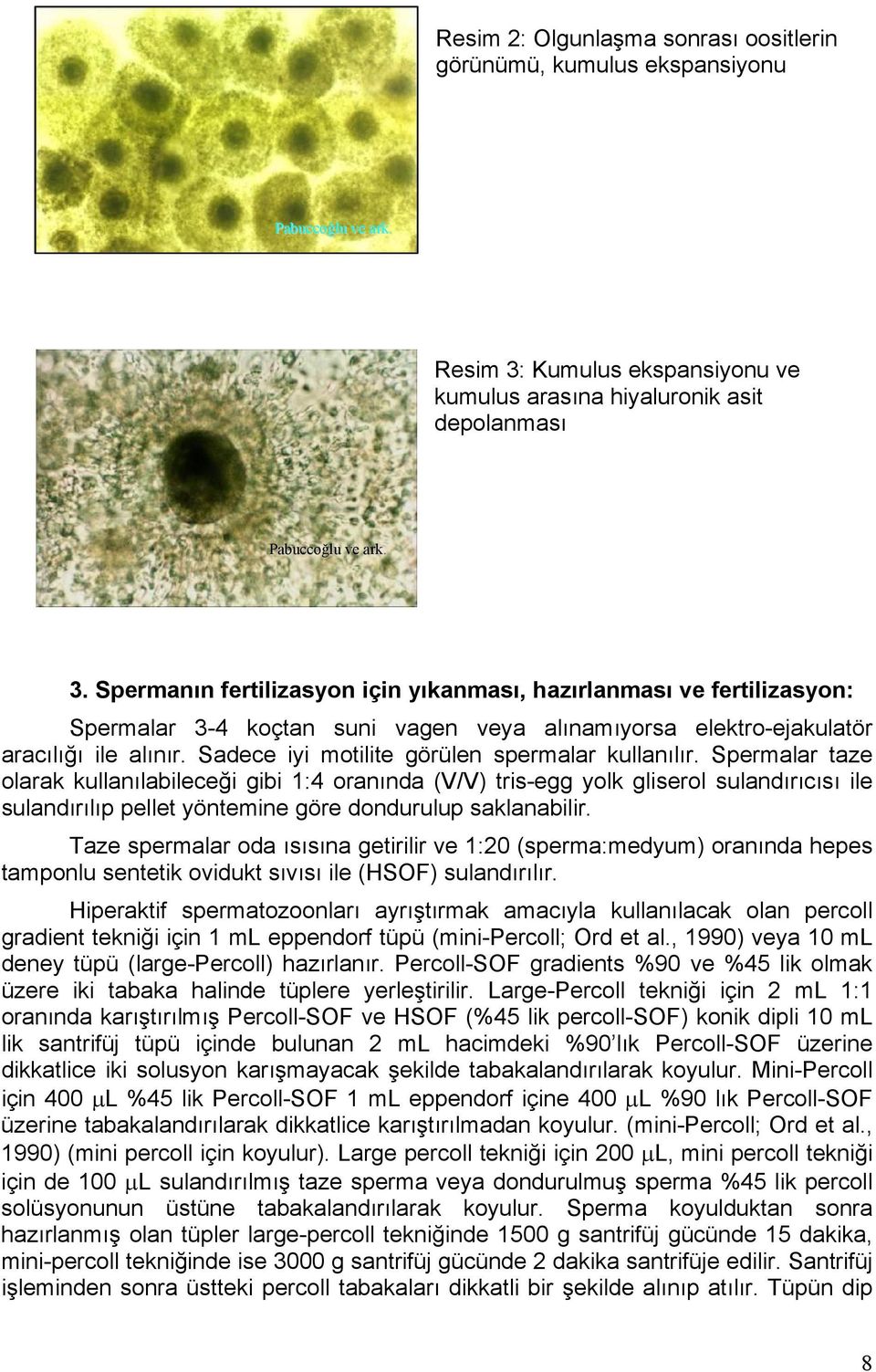 Spermanın fertilizasyon için yıkanması, hazırlanması ve fertilizasyon: Spermalar 3-4 koçtan suni vagen veya alınamıyorsa elektro-ejakulatör aracılığı ile alınır.