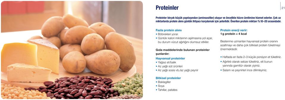 Gıda maddelerinde bulunan proteinler şunlardır: Hayvansal proteinler Yağsız et/balık Az yağlı süt ürünleri Az yağlı sosis vb.
