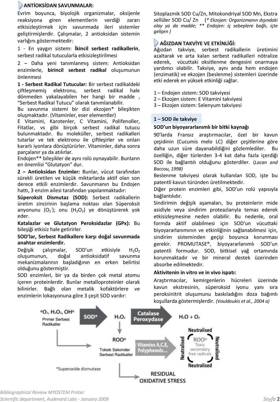 Antioksidan enzimlerle, birincil serbest radikal oluşumunun önlenmesi 1 - Serbest Radikal Tutucular: Bir serbest radikaldeki çiftleşmemiş elektronu, serbest radikal hale dönmeden yakalayabilen her