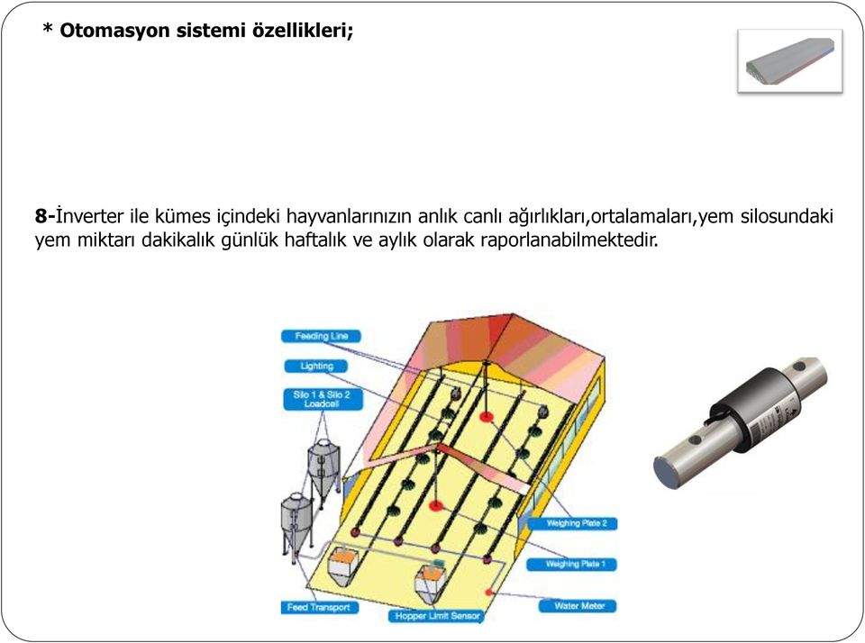 ağırlıkları,ortalamaları,yem silosundaki