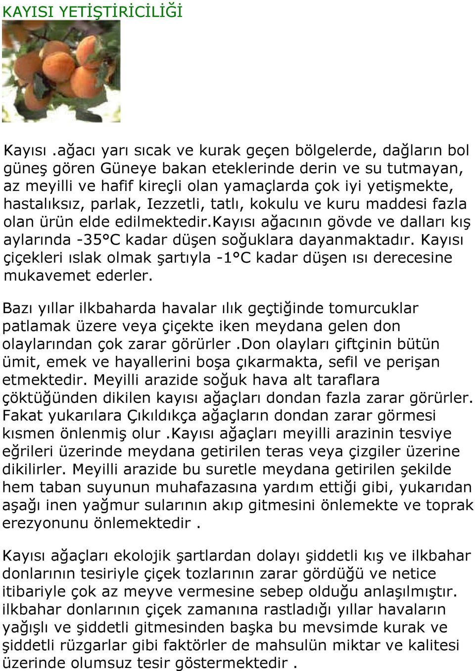 parlak, Iezzetli, tatlı, kokulu ve kuru maddesi fazla olan ürün elde edilmektedir.kayısı ağacının gövde ve dalları kış aylarında -35 C kadar düşen soğuklara dayanmaktadır.