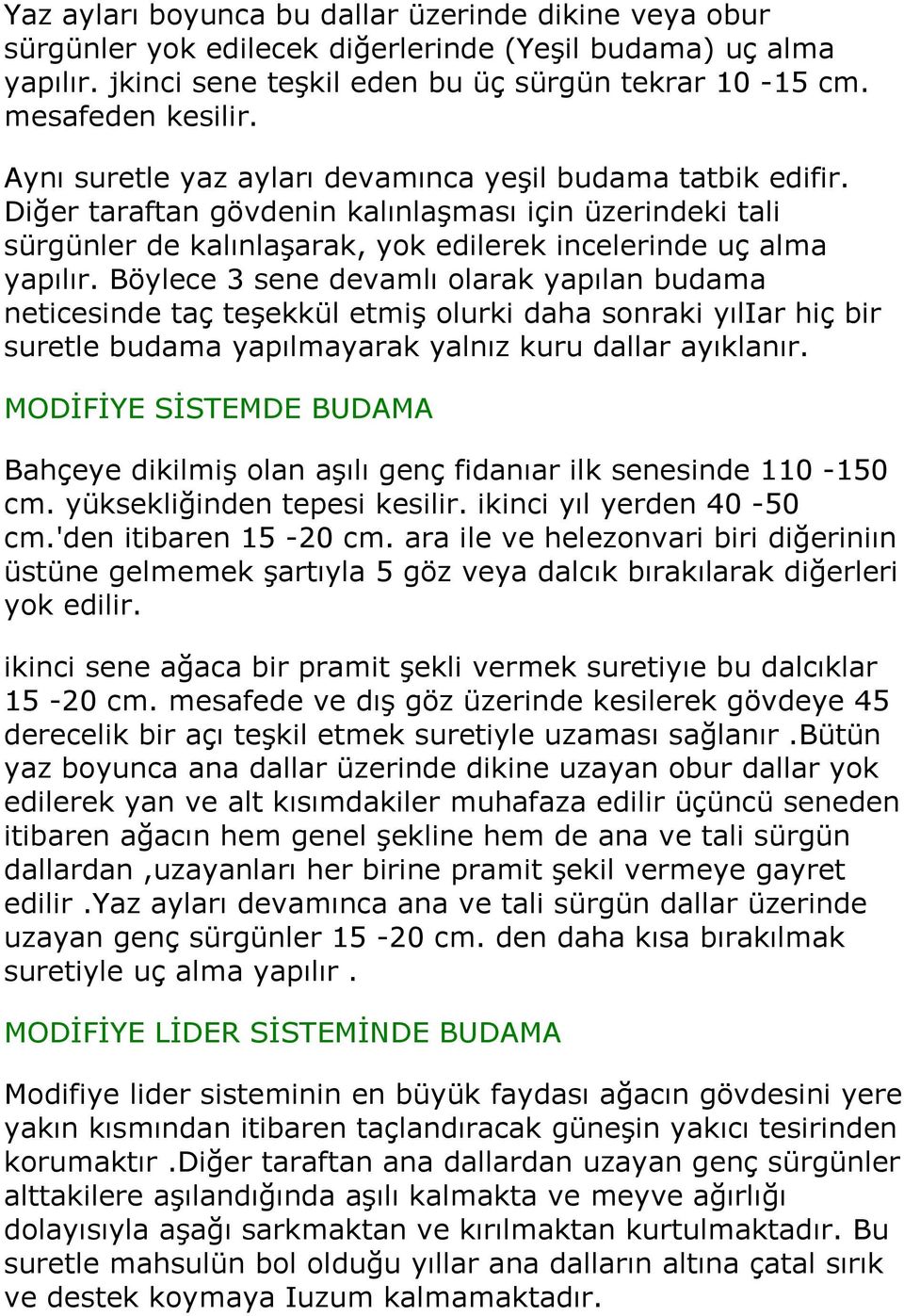 Böylece 3 sene devamlı olarak yapılan budama neticesinde taç teşekkül etmiş olurki daha sonraki yıliar hiç bir suretle budama yapılmayarak yalnız kuru dallar ayıklanır.