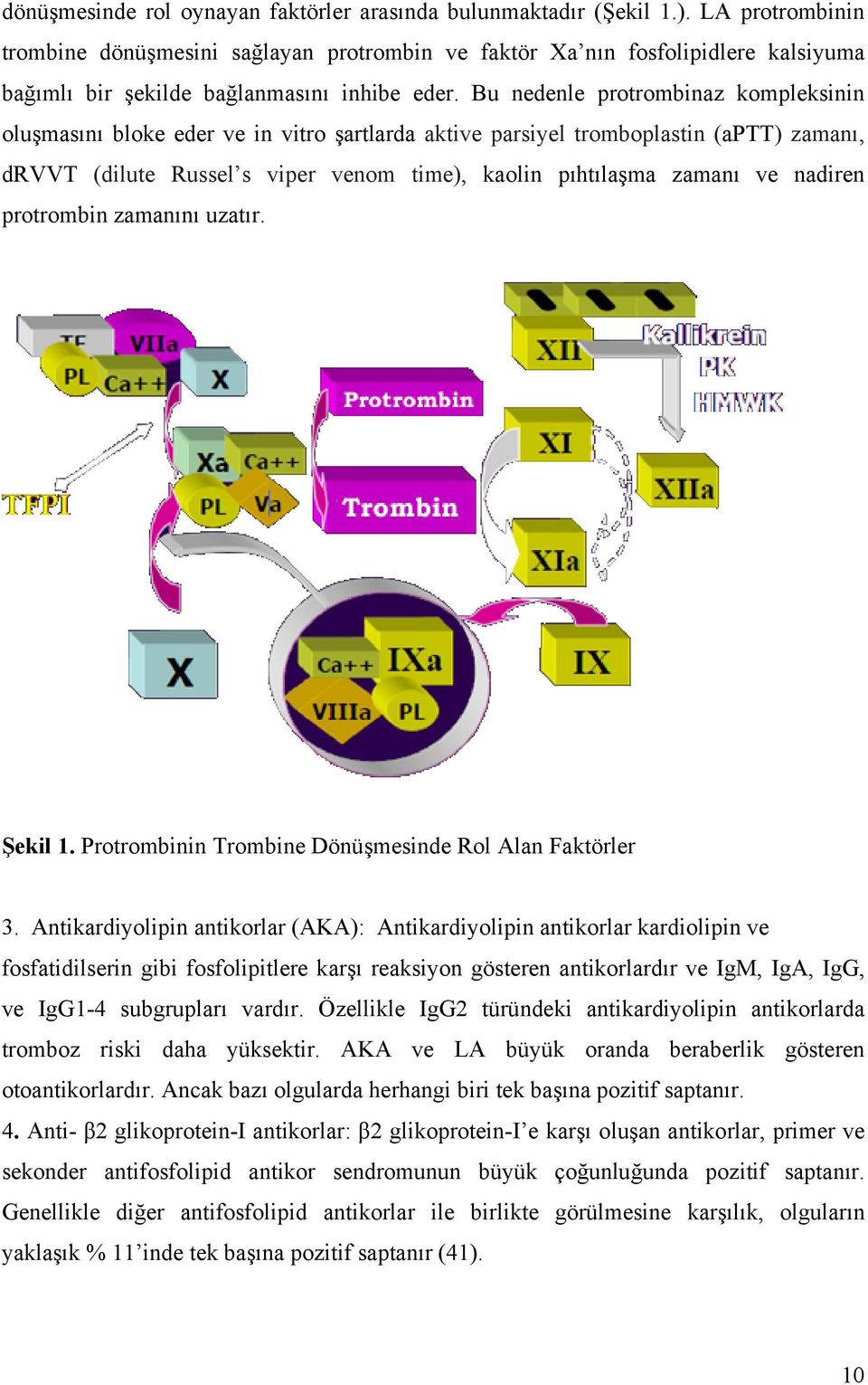 Bu nedenle protrombinaz kompleksinin oluşmasını bloke eder ve in vitro şartlarda aktive parsiyel tromboplastin (aptt) zamanı, drvvt (dilute Russel s viper venom time), kaolin pıhtılaşma zamanı ve