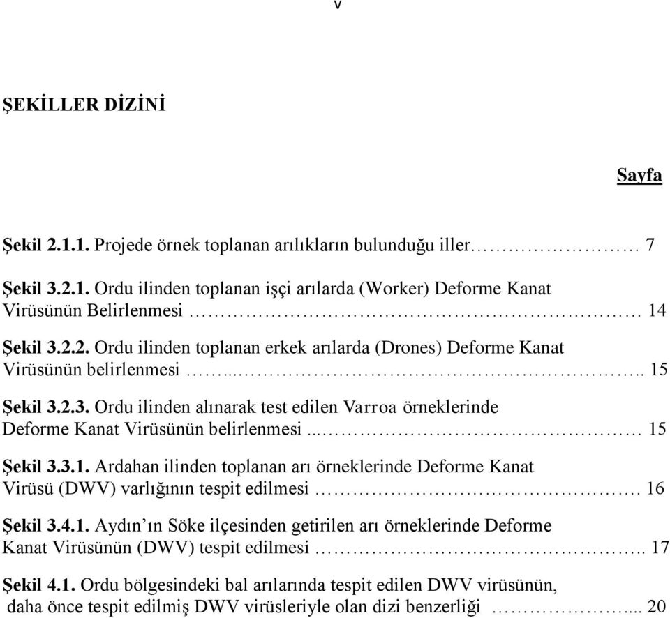 2.3. Ordu ilinden alınarak test edilen Varroa örneklerinde Deforme Kanat Virüsünün belirlenmesi... 15