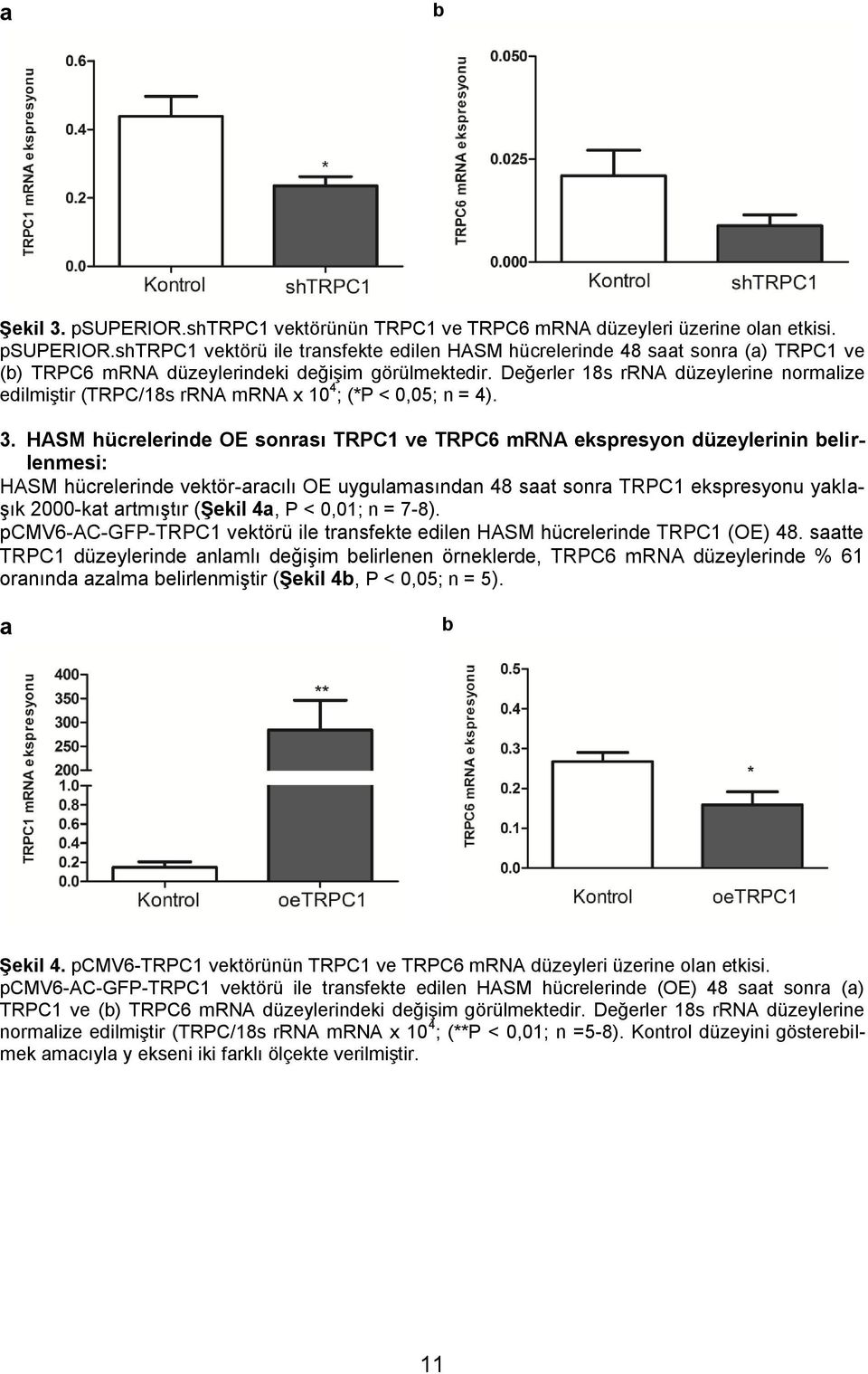 HASM hücrelerinde OE sonrası TRPC1 ve TRPC6 mrna ekspresyon düzeylerinin belirlenmesi: HASM hücrelerinde vektör-aracılı OE uygulamasından 48 saat sonra TRPC1 ekspresyonu yaklaşık 2000-kat artmıştır