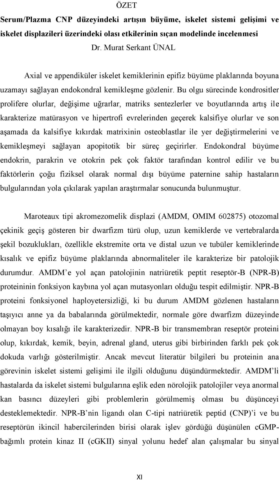 Bu olgu sürecinde kondrositler prolifere olurlar, değişime uğrarlar, matriks sentezlerler ve boyutlarında artış ile karakterize matürasyon ve hipertrofi evrelerinden geçerek kalsifiye olurlar ve son