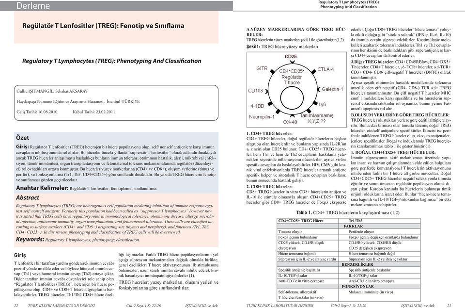 2011 Özet Giriş: Regülatör T lenfositler (TREG) heterojen bir hücre popülasyonu olup, self/ nonself antijenlere karşı immün cevapların inhibisyonunda rol alırlar.