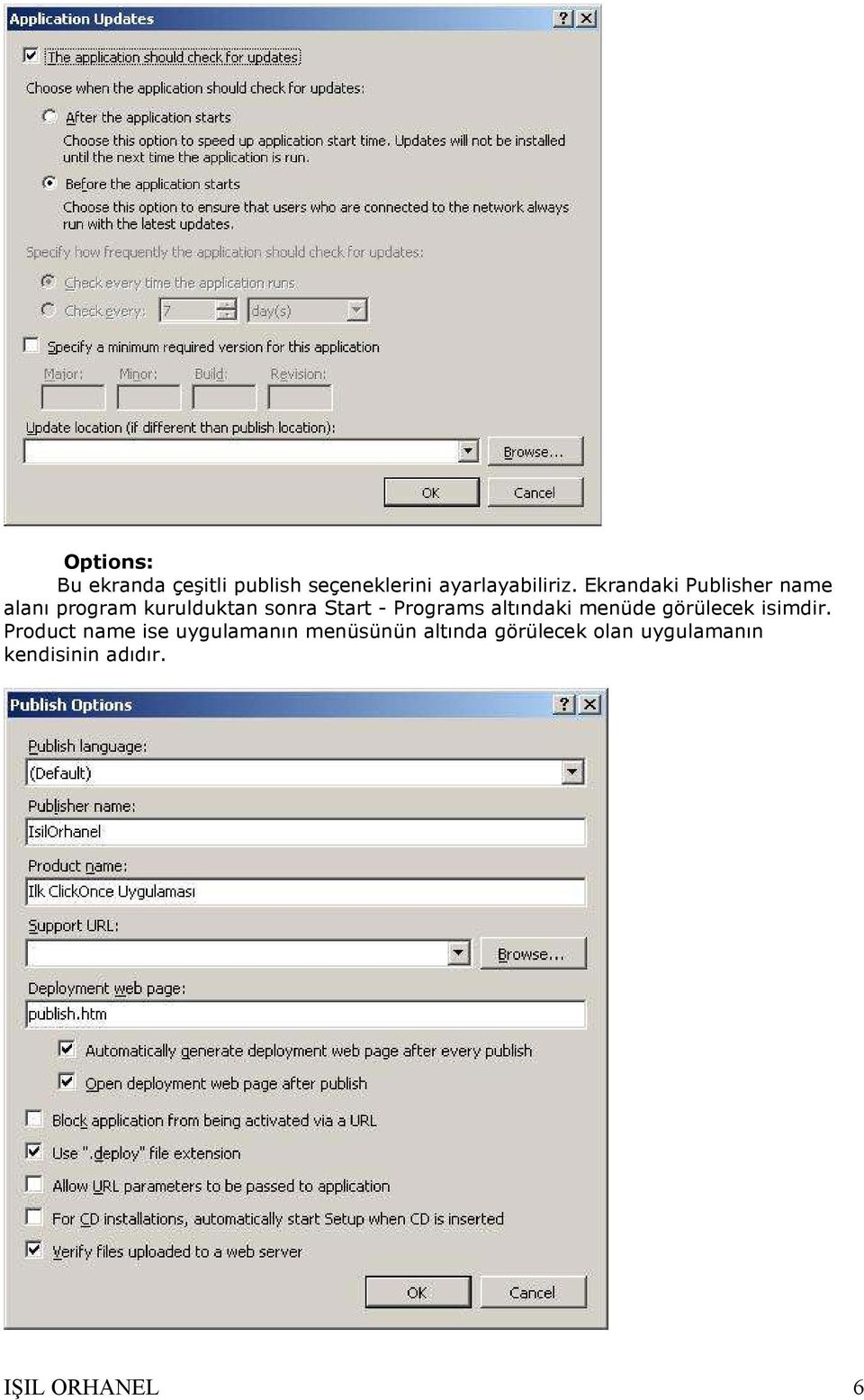 Programs altındaki menüde görülecek isimdir.