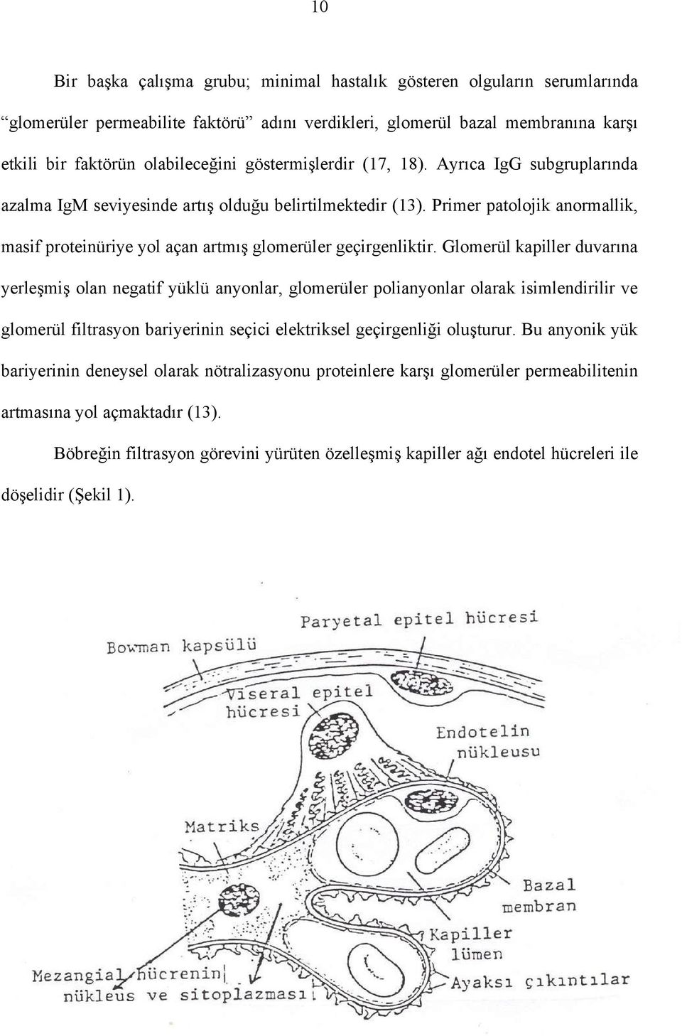 Primer patolojik anormallik, masif proteinüriye yol açan artmış glomerüler geçirgenliktir.